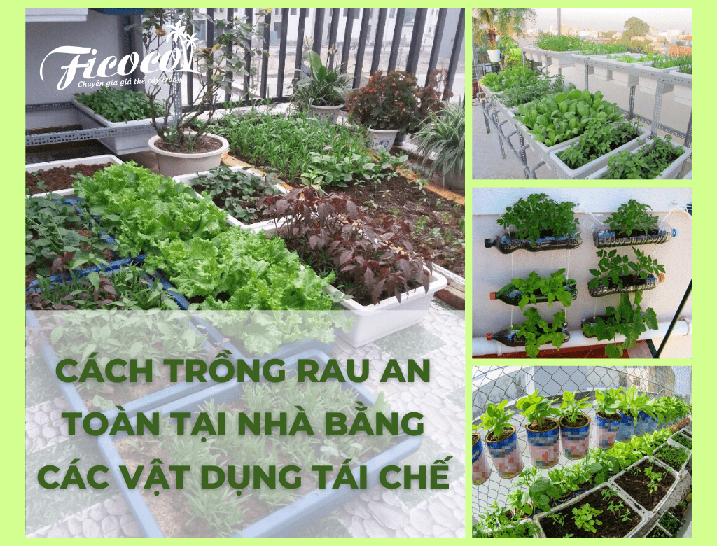 CÁCH TRỒNG RAU AN TOÀN TẠI NHÀ BẰNG CÁC VẬT DỤNG TÁI CHẾ SIÊU ĐƠN GIẢN