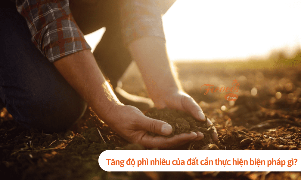 Để tăng độ phì nhiêu của đất chúng ta cần thực hiện biện pháp gì? Giải đáp thắc mắc