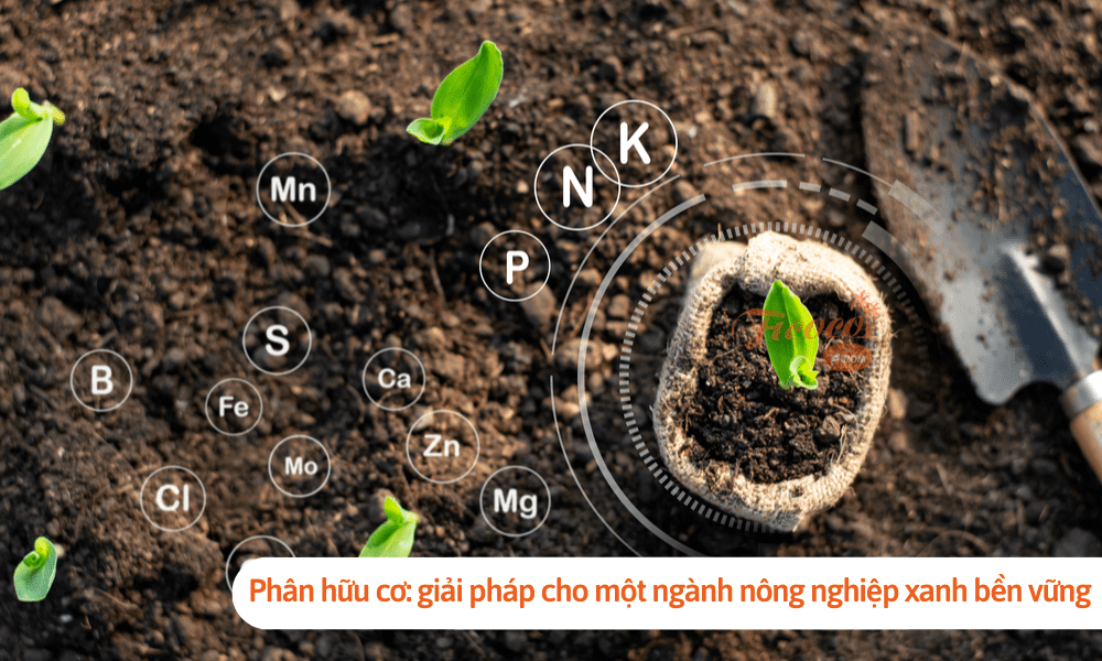 Phân hữu cơ: giải pháp cho một ngành nông nghiệp xanh bền vững 