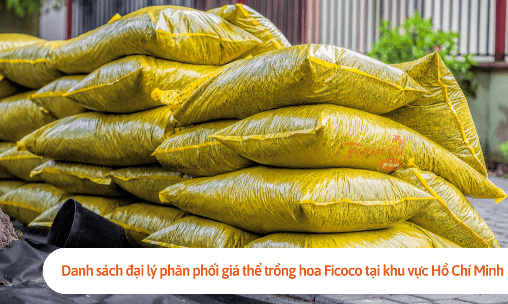 Danh sách đại lý phân phối giá thể trồng hoa Ficoco tại khu vực Hồ Chí Minh