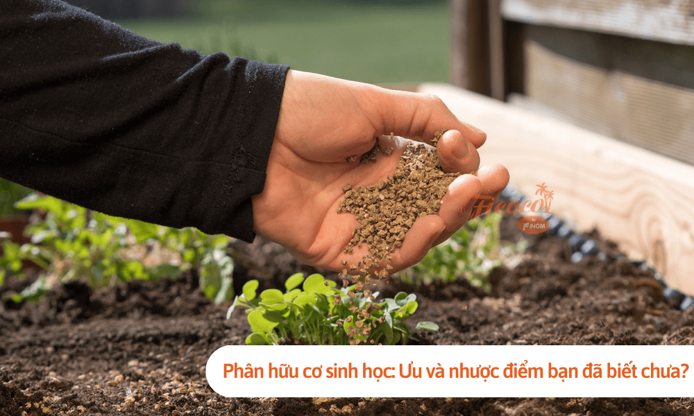 Phân hữu cơ sinh học: Ưu và nhược điểm bạn đã biết chưa?