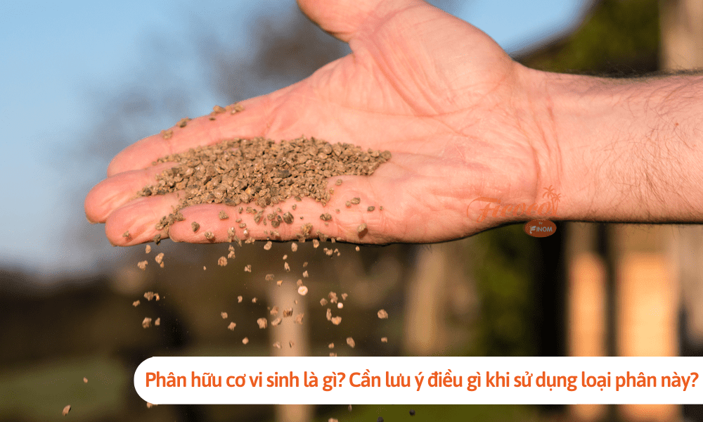 Phân hữu cơ vi sinh là gì? Cần lưu ý điều gì khi sử dụng loại phân này?