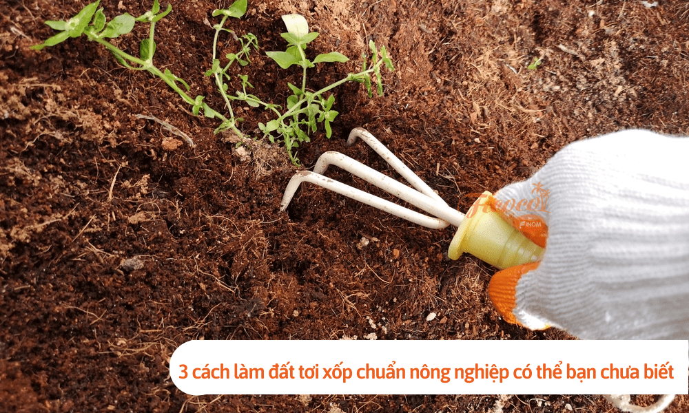 3 cách làm đất tơi xốp chuẩn nông nghiệp có thể bạn chưa biết