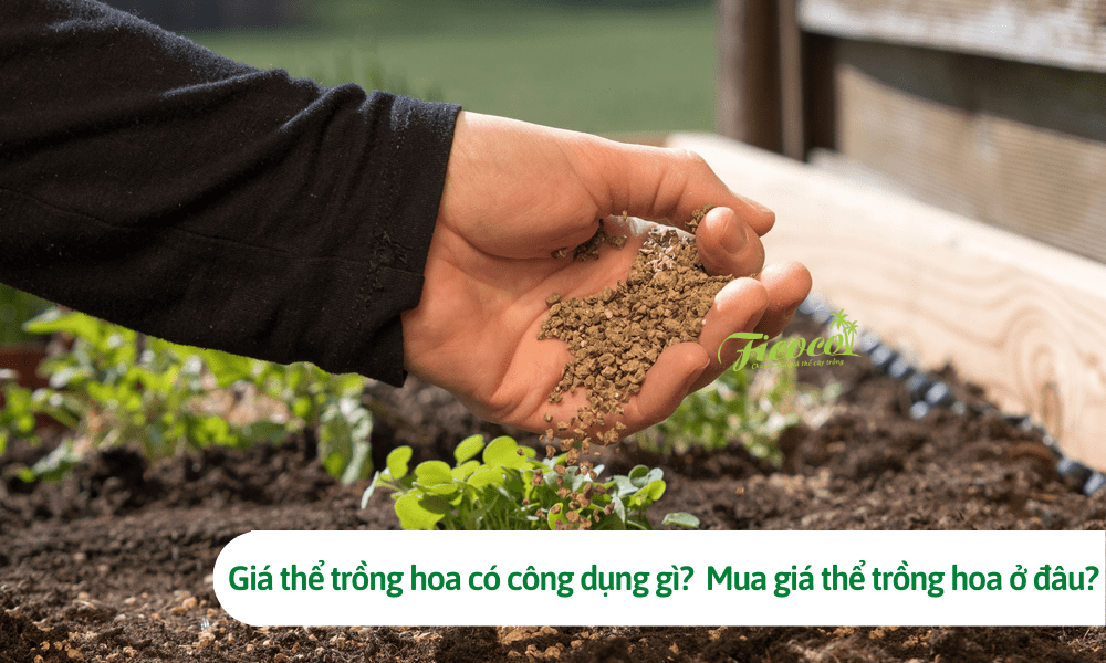 Giá thể trồng hoa có công dụng gì? Mua giá thể trồng hoa ở đâu?