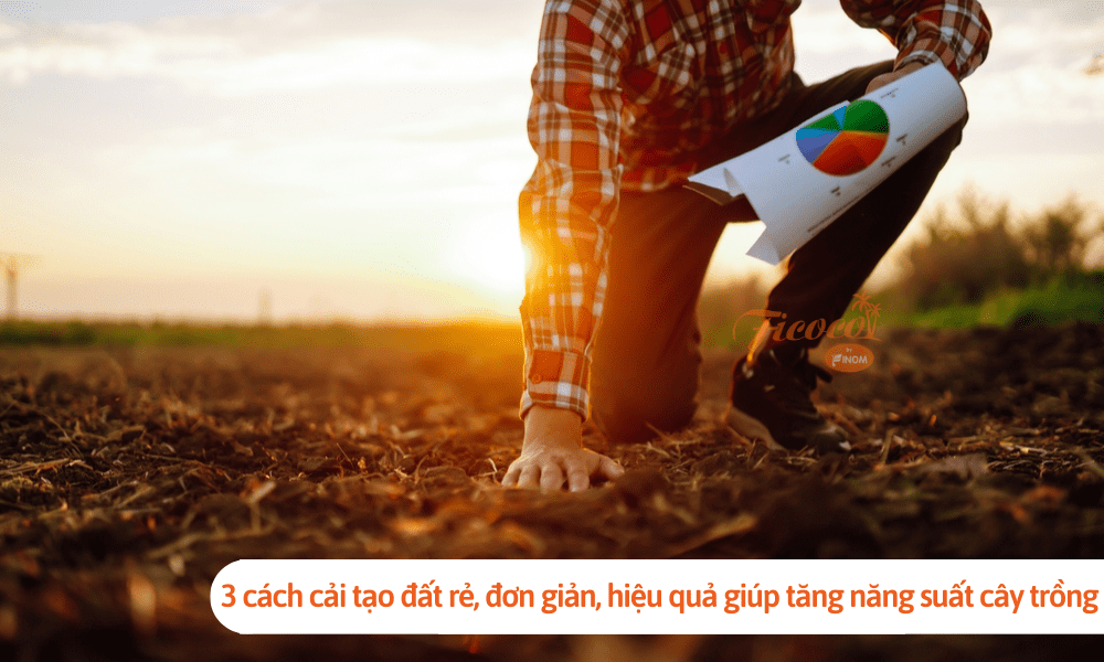 3 cách cải tạo đất rẻ, đơn giản, hiệu quả giúp tăng năng suất cây trồng