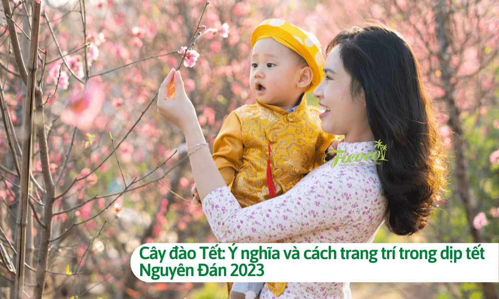 Cây đào Tết: Ý nghĩa và cách trang trí trong dịp tết Nguyên Đán 2023