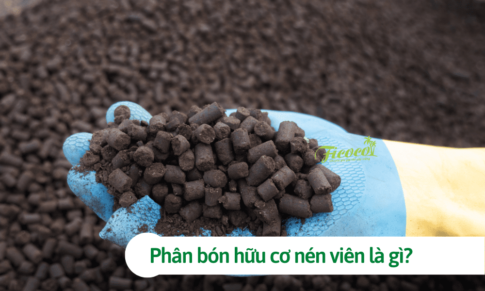 Phân bón hữu cơ nén viên là gì? Hiệu quả và cách sử dụng