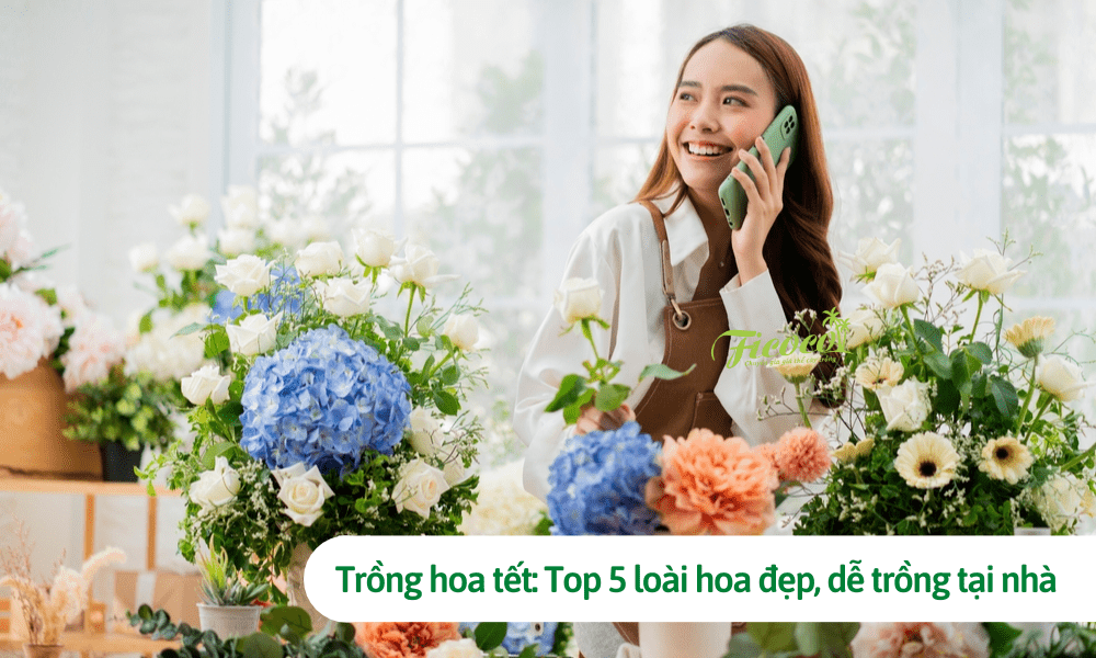 Trồng hoa tết: Top 5 loài hoa đẹp, dễ trồng tại nhà dịp tết 2023
