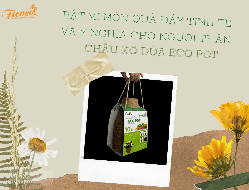 BẬT MÍ MÓN QUÀ ĐẦY TINH TẾ VÀ Ý NGHĨA CHO NGƯỜI THÂN