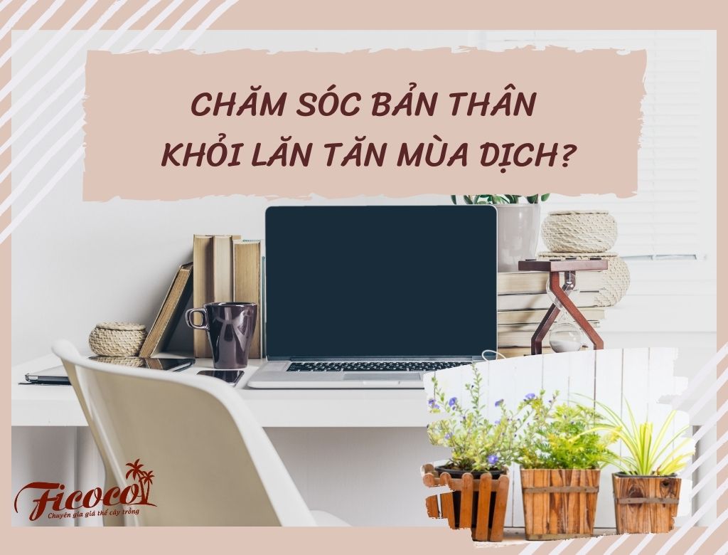 CHĂM SÓC BẢN THÂN - KHỎI LĂN TĂN MÙA DỊCH?