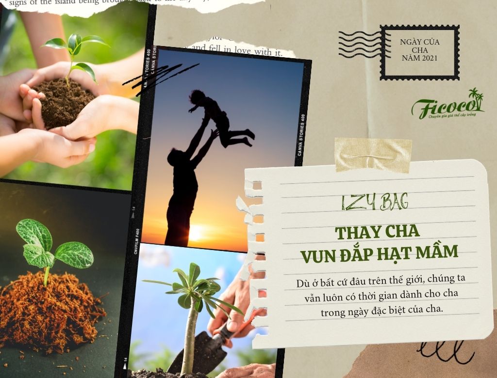 IZY BAG – THAY CHA VUN ĐẮP NHỮNG HẠT MẦM