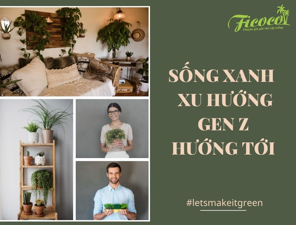 SỐNG XANH – XU HƯỚNG GEN Z HƯỚNG TỚI