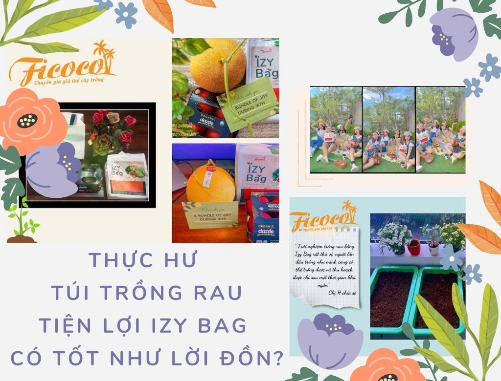 THỰC HƯ TÚI TRỒNG RAU TIỆN LỢI TẠI NHÀ IZY BAG CÓ TỐT NHƯ LỜI ĐỒN?