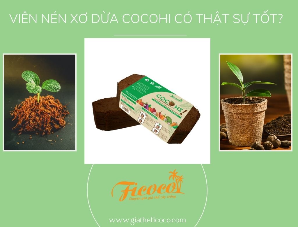 VIÊN NÉN XƠ DỪA COCOHI CÓ THẬT SỰ TỐT? 