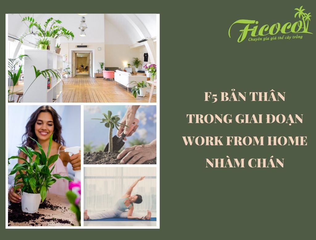 F5 BẢN THÂN TRONG GIAI ĐOẠN WORK FROM HOME NHÀM CHÁN