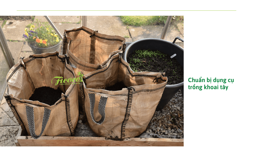 chuan-bi-dung-cu-trong-khoai-tay