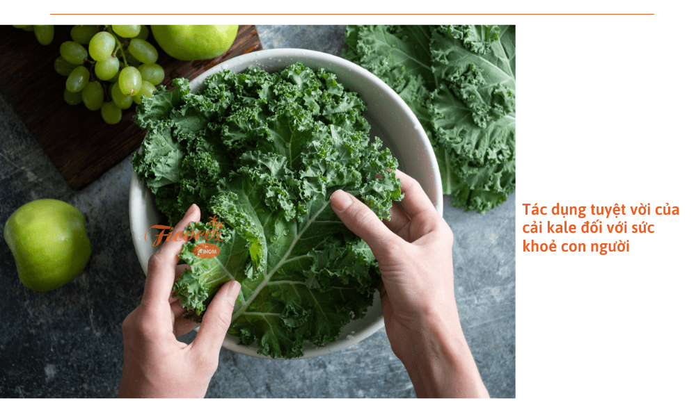 cach-trong-cai-kale