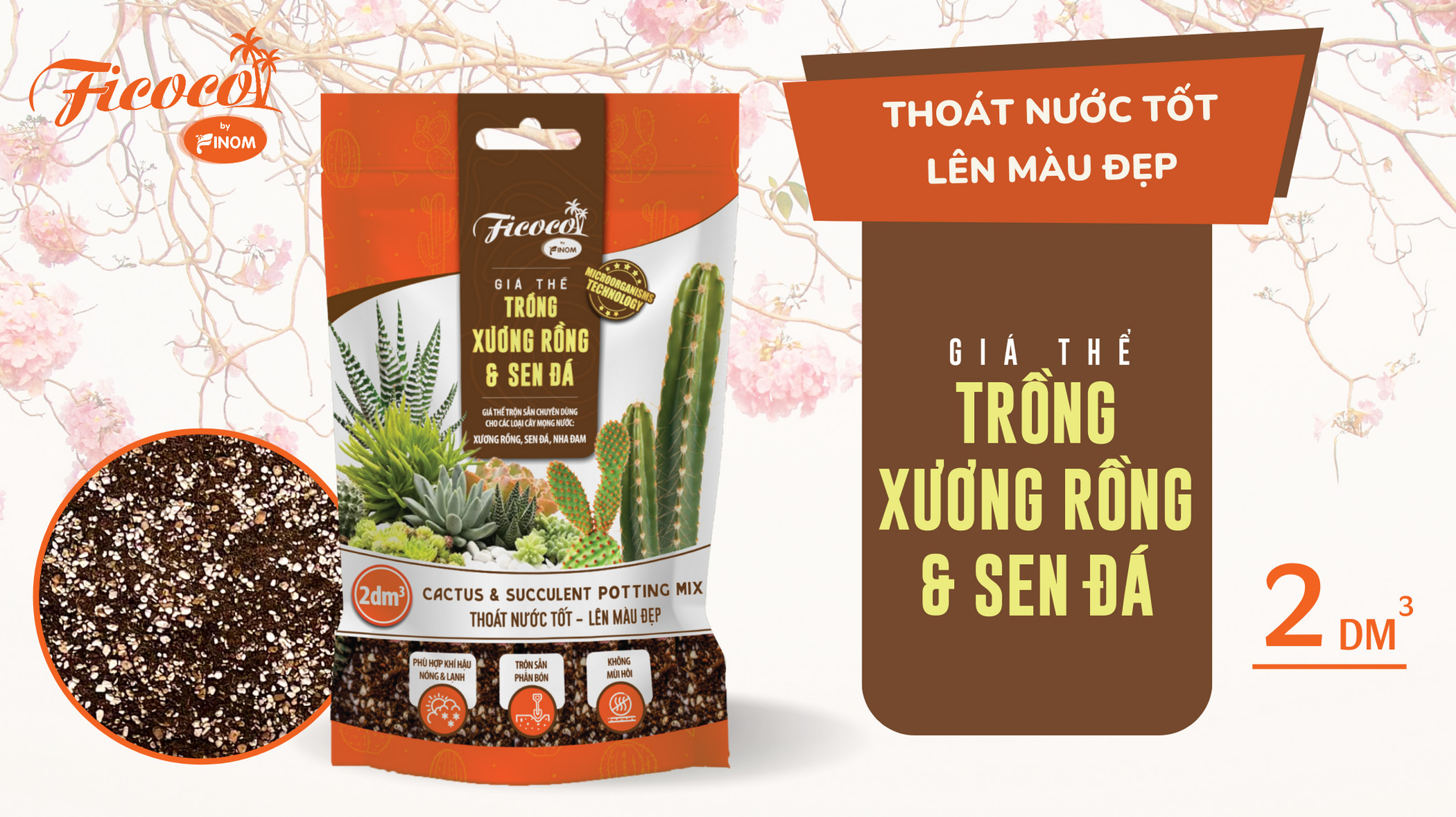 gia-the-trong-xuong-rong-kieng-la-2L