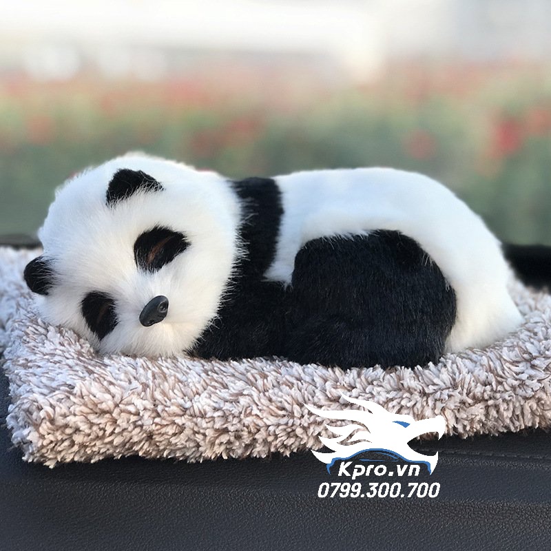Than Tre Gấu Trúc (18cm X 26cm)