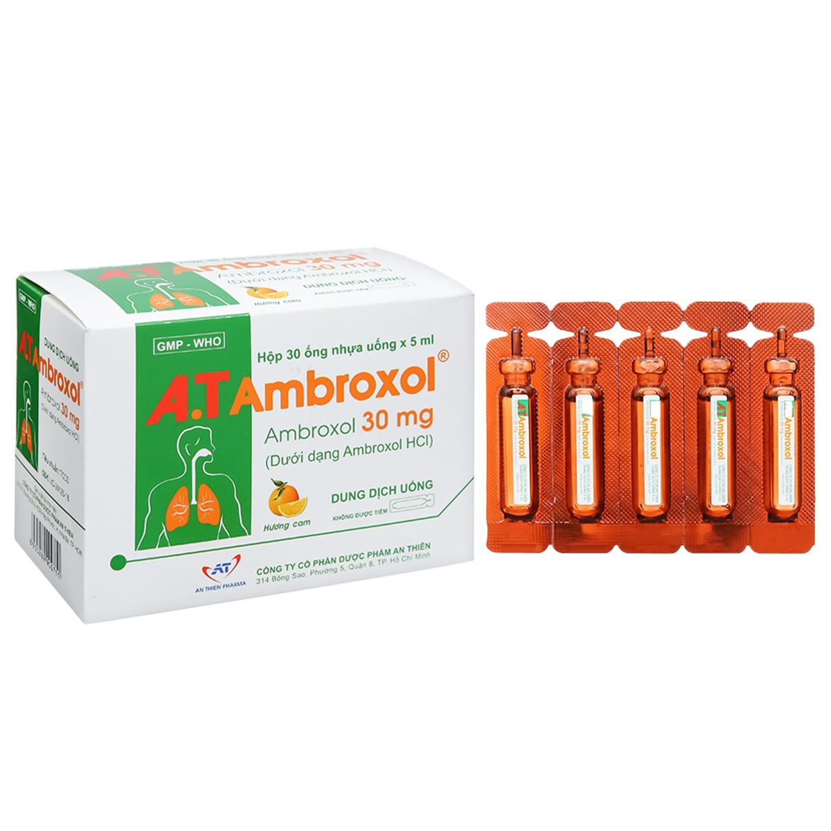 a-t-ambroxol-30mg-an-thien-hop-30-ong-5ml