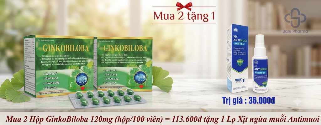 mua-2hop-ginkobiloba-120mg-hop-100-vien-113-600d-tang-1-lo-xit-ngua-muoi-antimuo