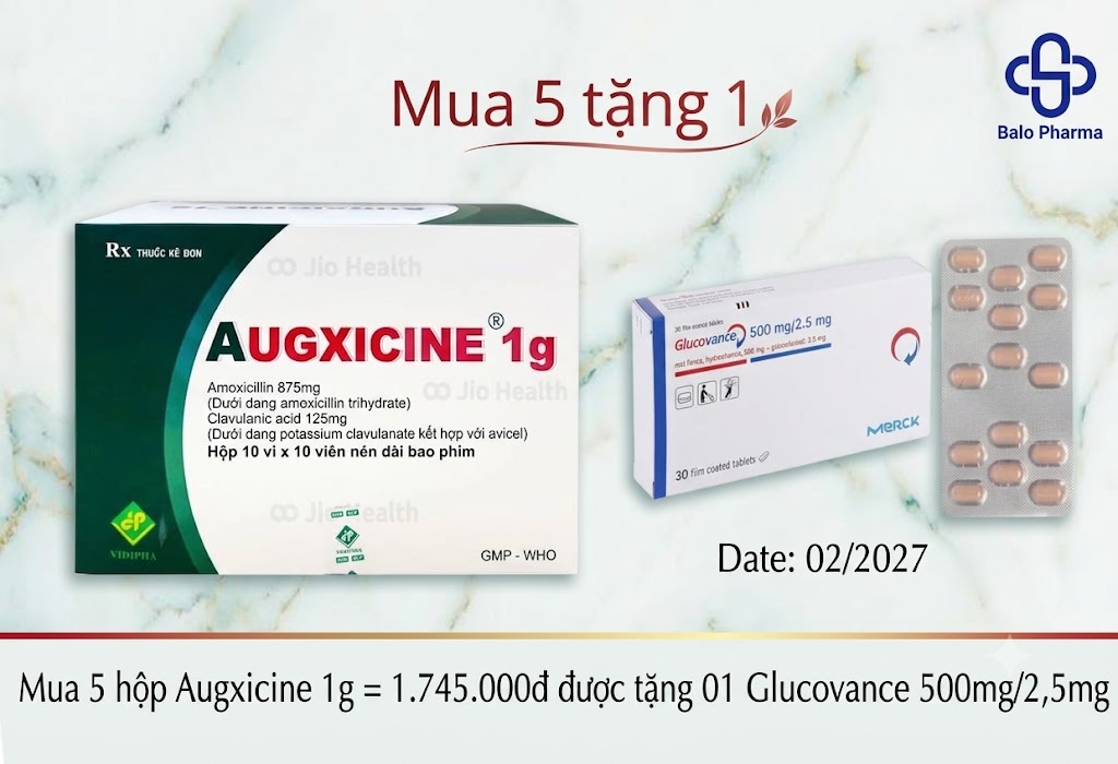 mua-5hop-augxicine-1g-1-745-000d-duoc-tang-01-glucovance-500mg-2-5mg
