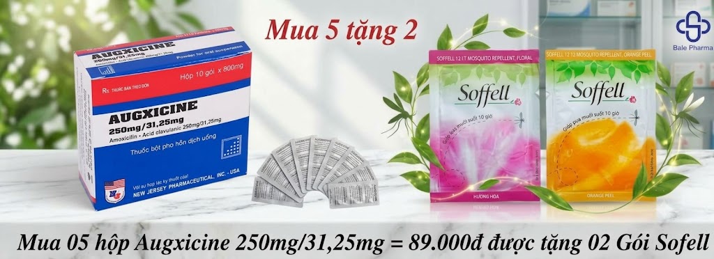 mua-05hop-augxicine-250mg-31-25mg-89-000d-duoc-tang-02-goi-sofell