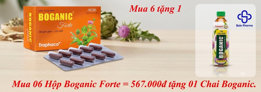 mua-06-hop-boganic-forte-567-000d-tang-01-chai-boganic