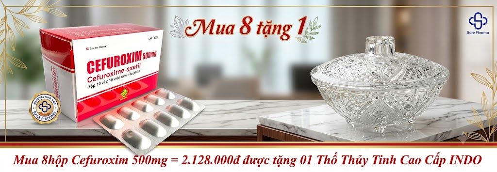 mua-8hop-cefuroxim-500mg-2-128-000d-duoc-tang-01-tho-thuy-tinh-cao-cap-indo