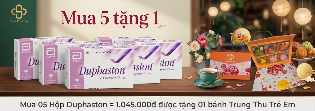 mua-05-hop-duphaston-1-045-000d-duoc-tang-01-banh-trung-thu-tre-em