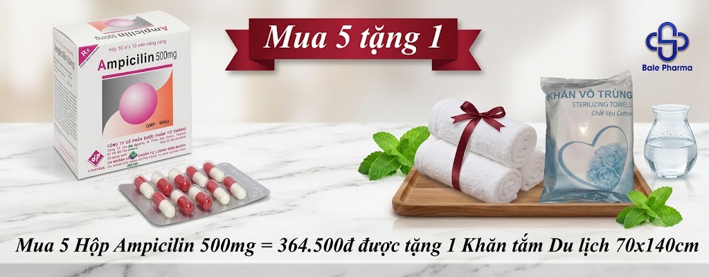 mua-5-hop-ampicilin-500mg-364-500d-duoc-tang-1-khan-tam-du-lich-70x140cm