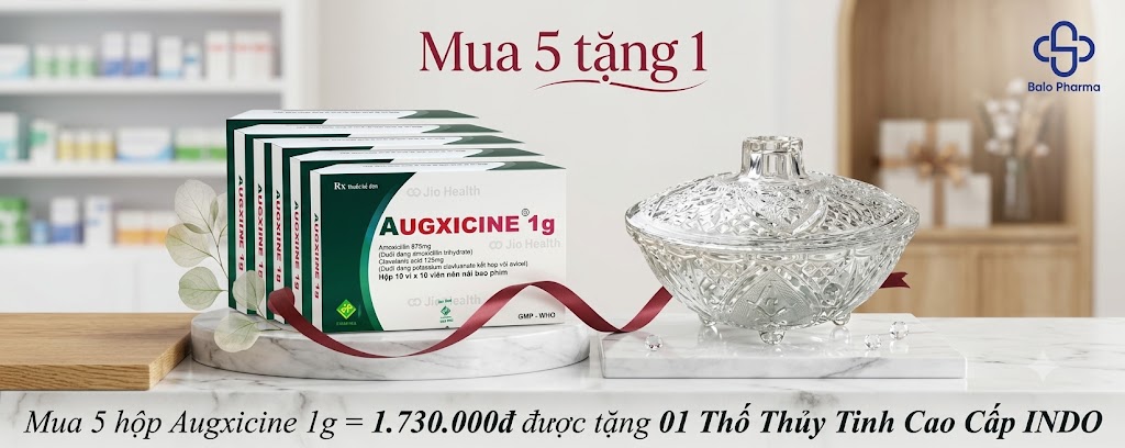 mua-5hop-augxicine-1g-1-730-000d-duoc-tang-01-tho-thuy-tinh-cao-cap-indo