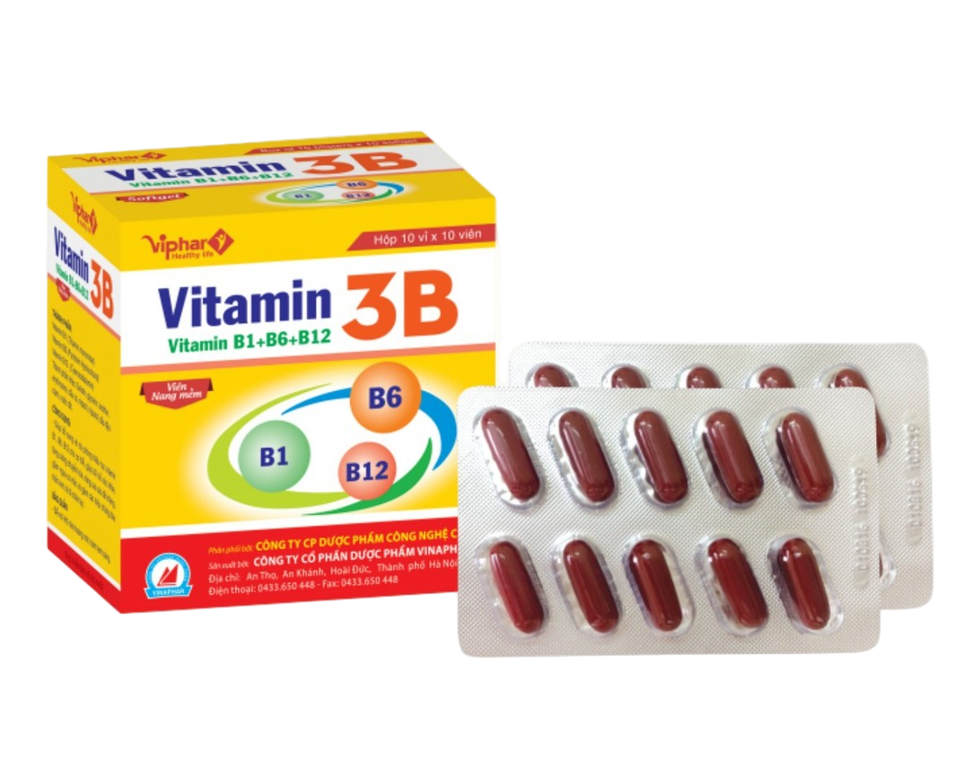 vitamin-3b-viphar-h-100v