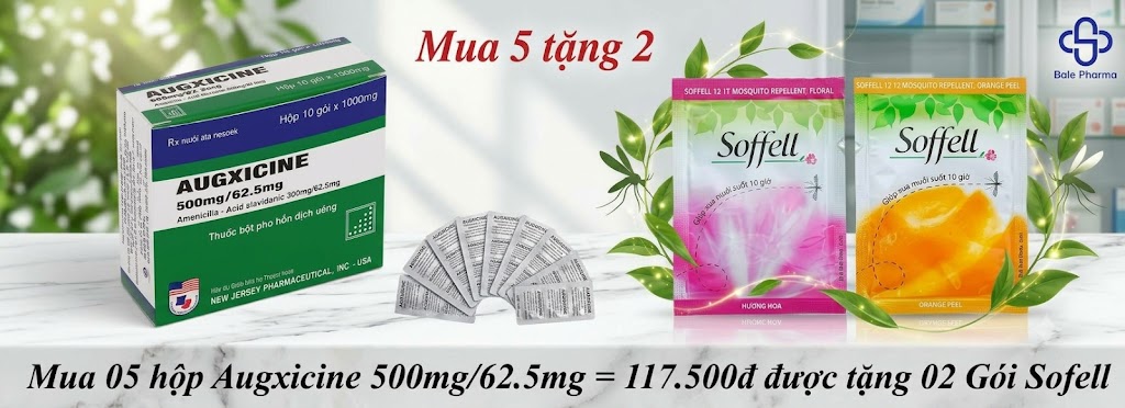 mua-05hop-augxicine-500mg-62-5mg-117-500d-duoc-tang-02-goi-sofell