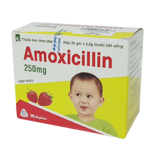 amoxicillin-250mg-mekophar-h-30g-2-5g-goi