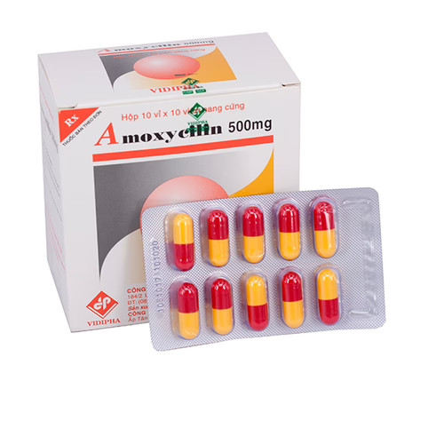 amoxycilin-500mg-vidipha-h-100v