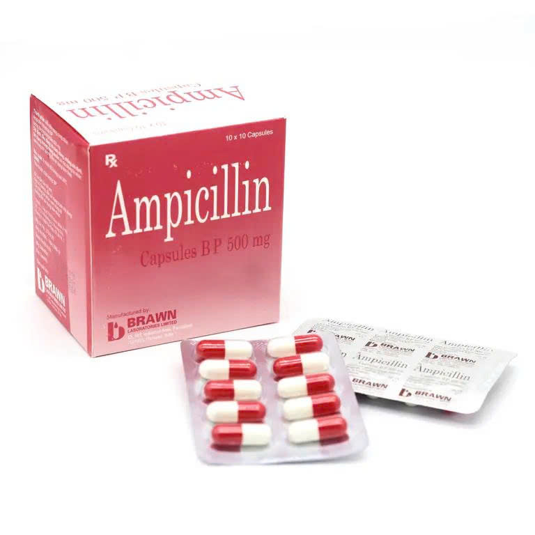 ampicillin-500-brawn-h-100v