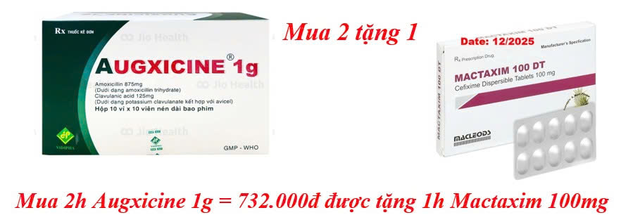mua-2h-augxicine-1g-732-000d-duoc-tang-1h-mactaxim-100mg