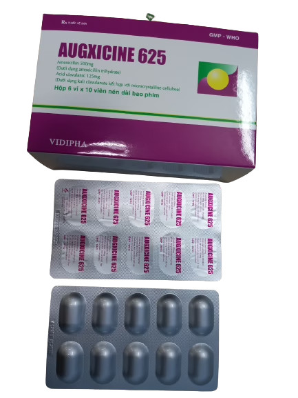augxicine-625-vidipha-h-60v