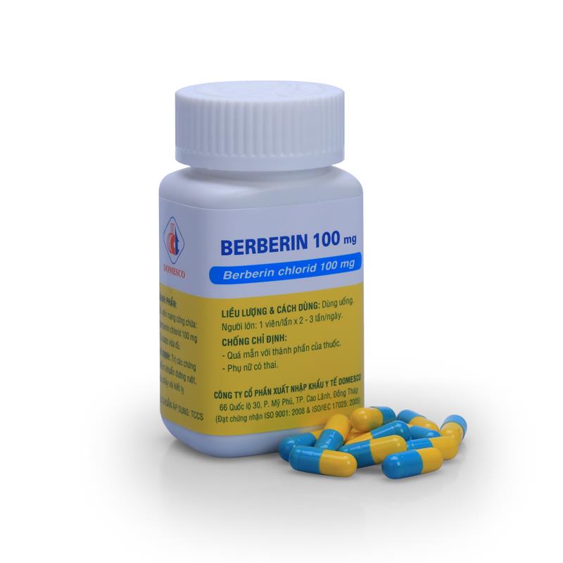 berberin-100mg-caps-dmc-chai-100-vien