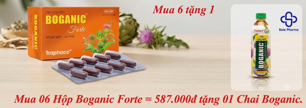 mua-06-hop-boganic-forte-587-000d-tang-01-chai-boganic