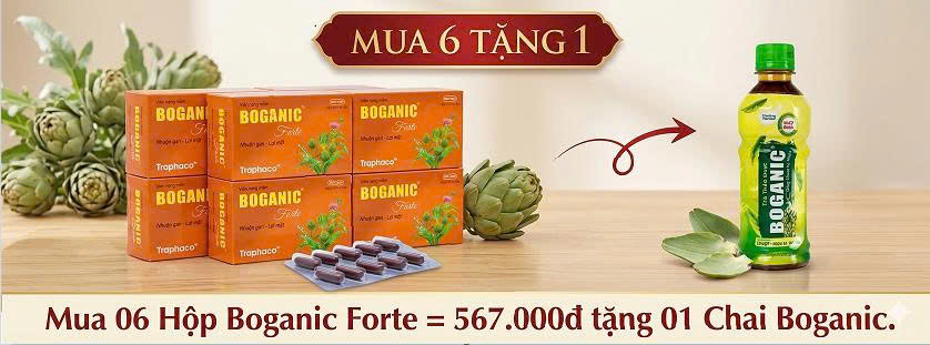 mua-06-hop-boganic-forte-567-000d-tang-01-chai-boganic