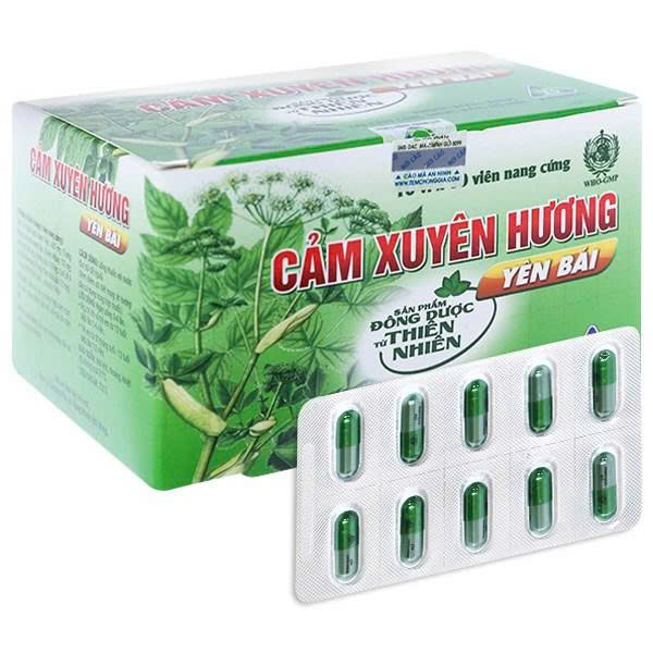 cam-xuyen-huong-yen-bai-ypharco-h-100v