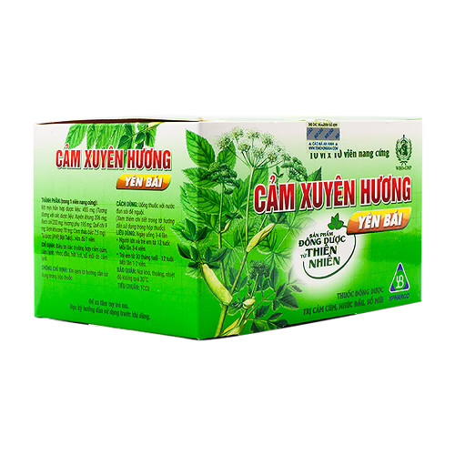 cam-xuyen-huong-yen-bai-ypharco-h-100v