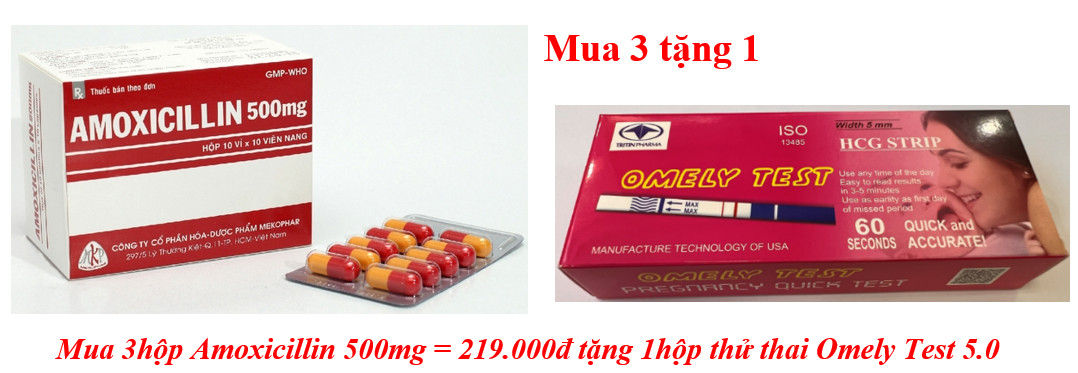 mua-3hop-amoxicillin-500mg-219-000d-tang-1hop-thu-thai-omely-test-5-0