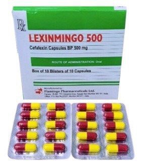 lexinmingo-cefalexin-500mg-flamingo-h-100v