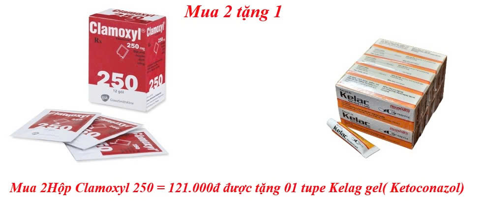 mua-2hop-clamoxyl-250-121-000d-duoc-tang-01-tupe-kelag-gel-ketoconazol