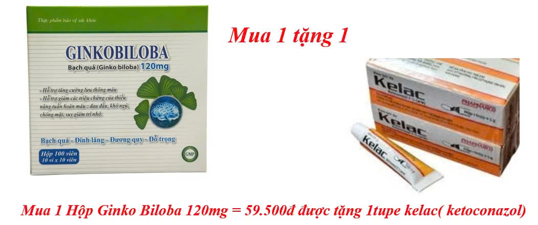 mua-1-hop-ginko-biloba-120mg-59-500d-duoc-tang-1tupe-kelac-ketoconazol