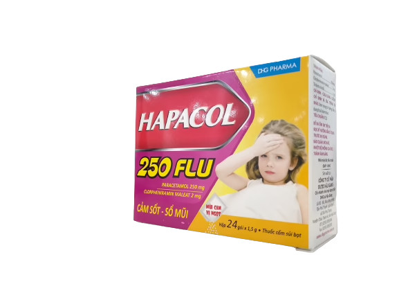hapacol-250-flu-dhg-h-24g