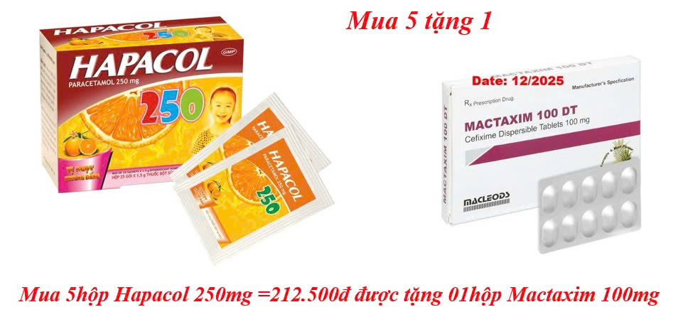 mua-5hop-hapacol-250mg-212-500d-duoc-tang-01hop-mactaxim-100mg